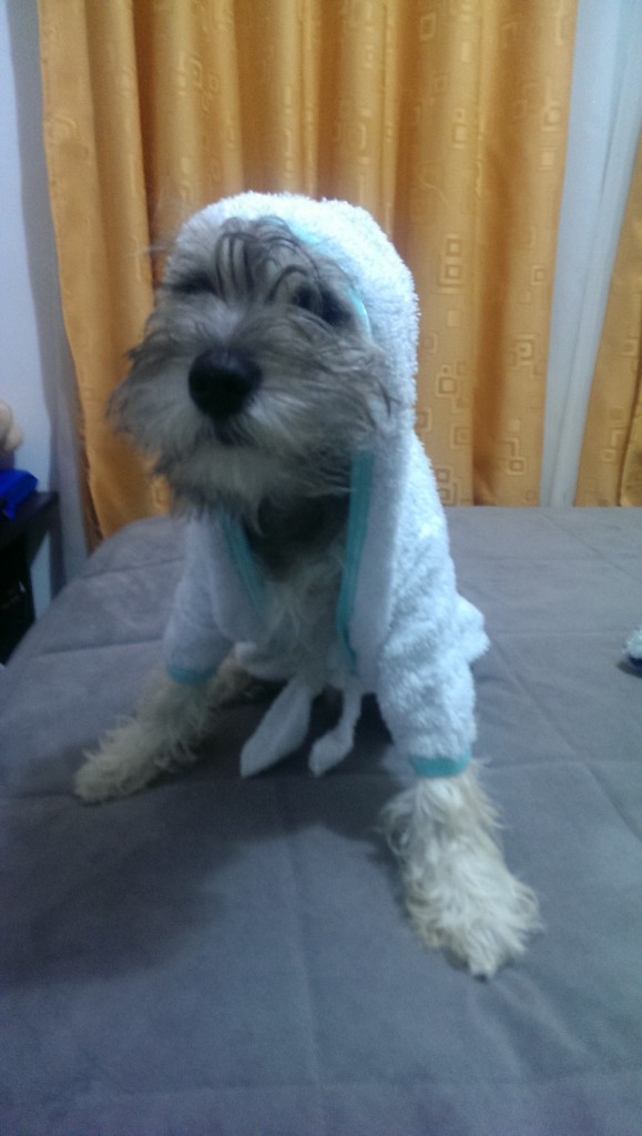 simon en salida de baño gorrito